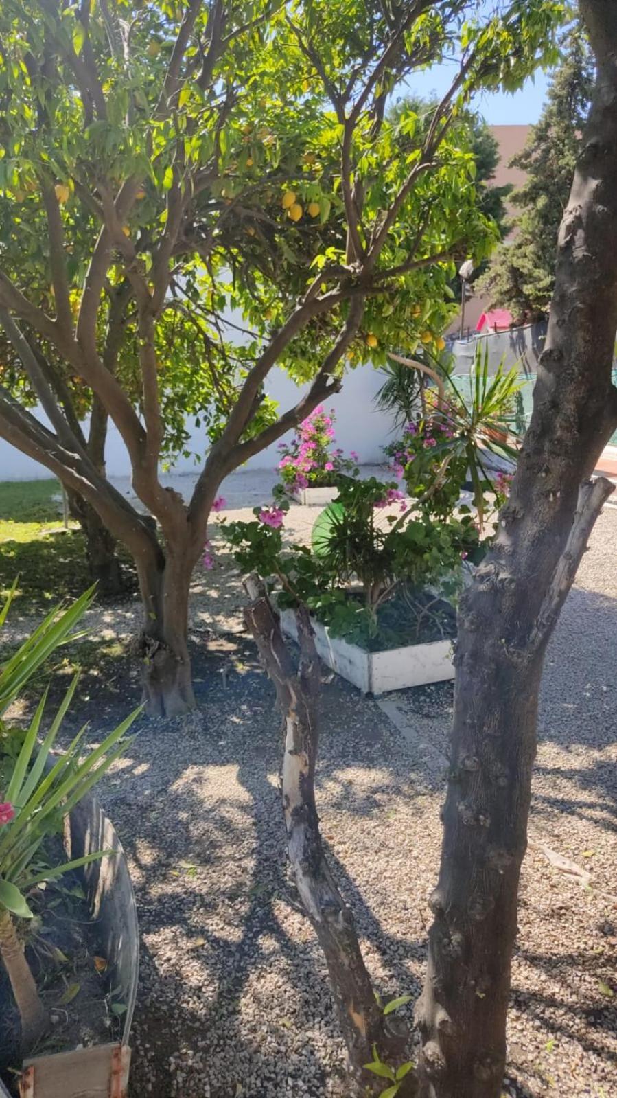Garden Green Da Virna Torre Annunziata Ngoại thất bức ảnh