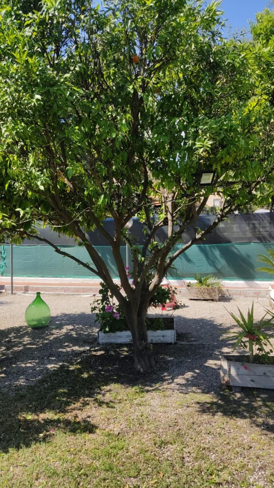 Garden Green Da Virna Torre Annunziata Ngoại thất bức ảnh