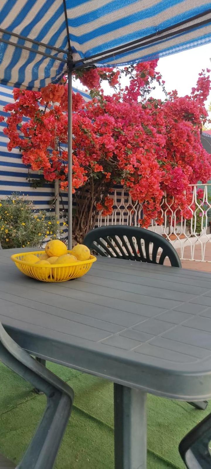 Garden Green Da Virna Torre Annunziata Ngoại thất bức ảnh