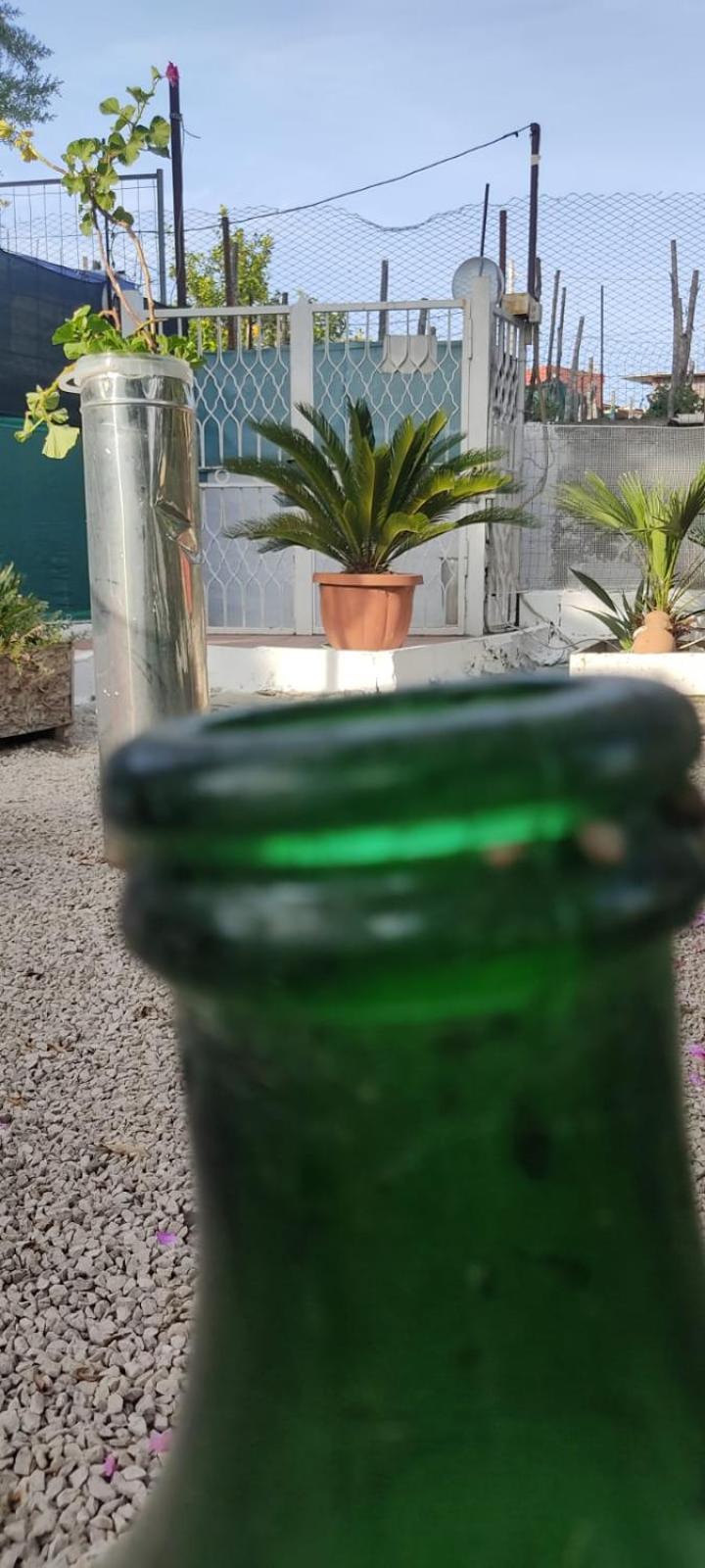Garden Green Da Virna Torre Annunziata Ngoại thất bức ảnh