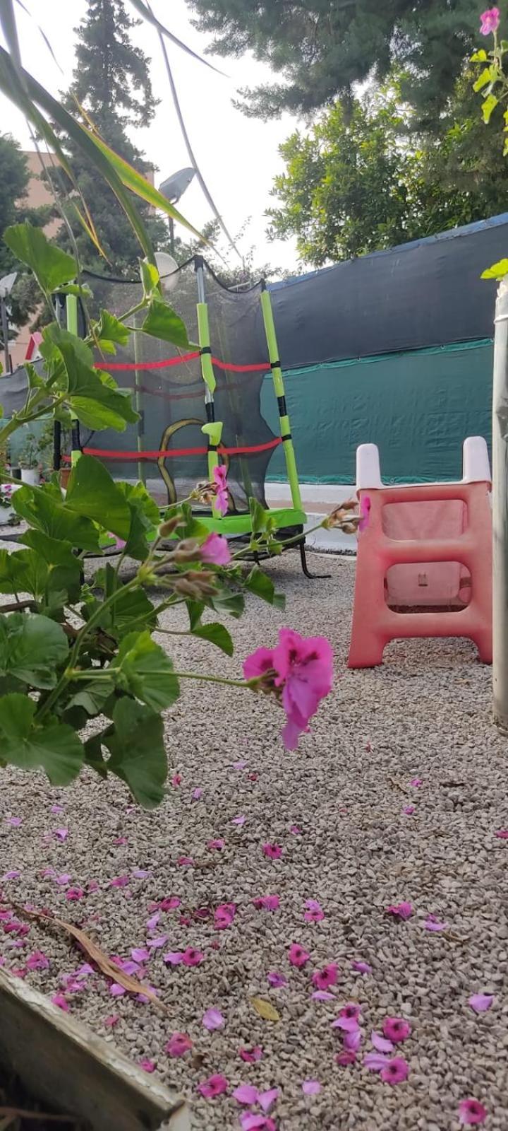 Garden Green Da Virna Torre Annunziata Ngoại thất bức ảnh