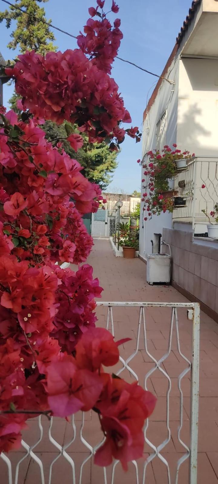 Garden Green Da Virna Torre Annunziata Ngoại thất bức ảnh