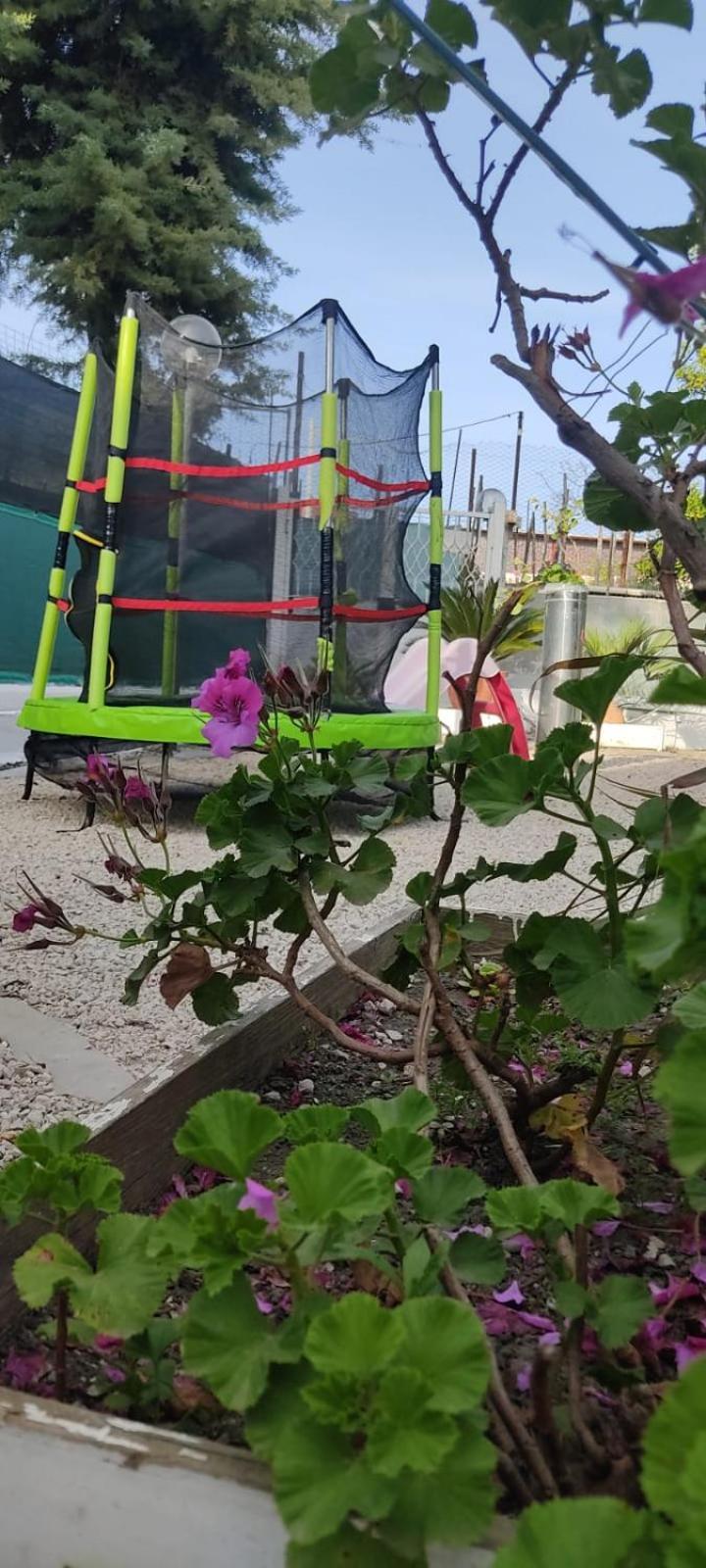 Garden Green Da Virna Torre Annunziata Ngoại thất bức ảnh
