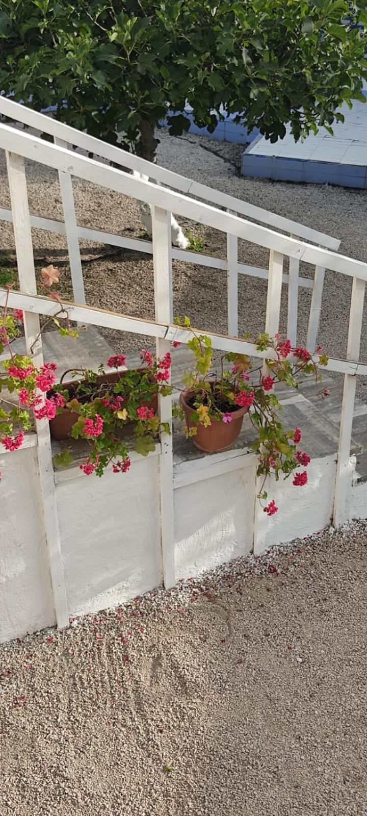 Garden Green Da Virna Torre Annunziata Ngoại thất bức ảnh