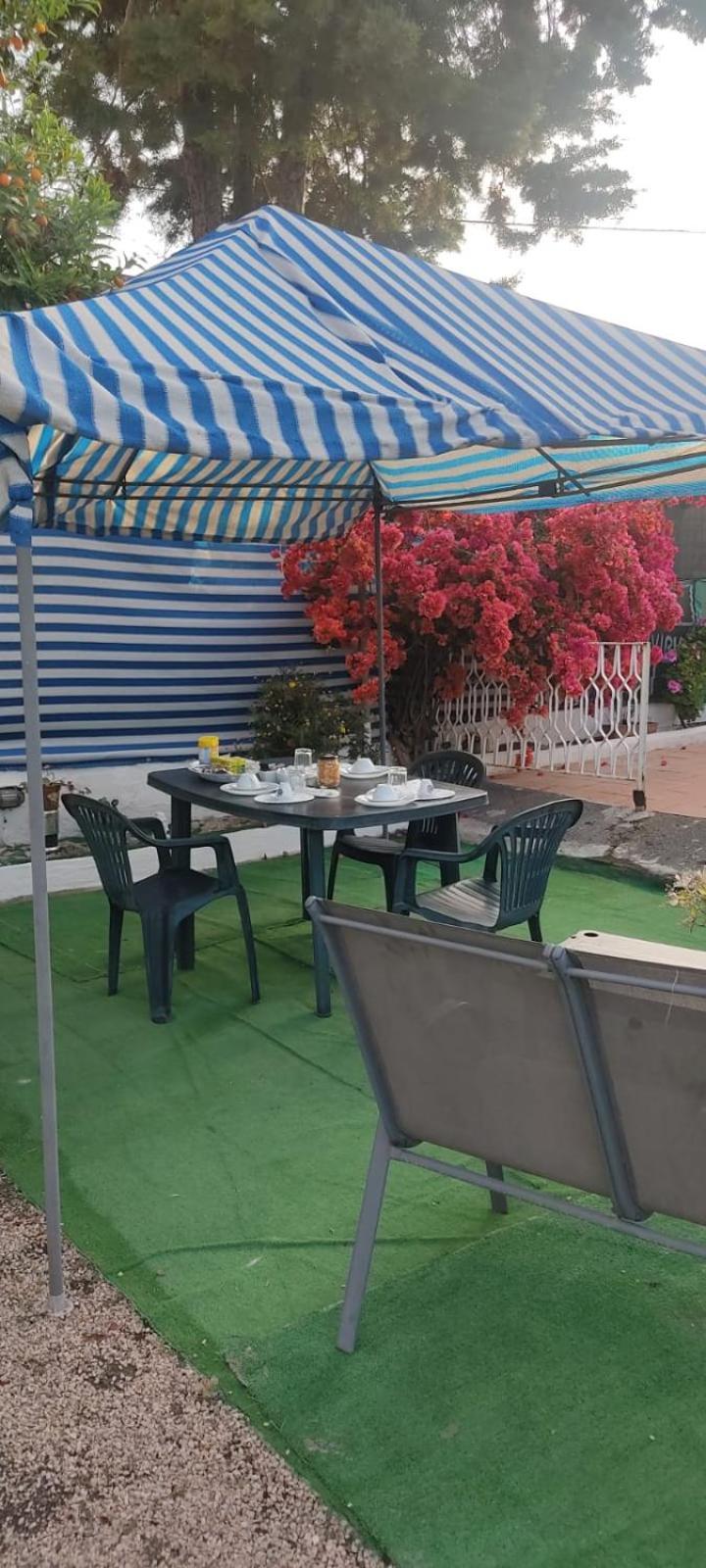 Garden Green Da Virna Torre Annunziata Ngoại thất bức ảnh