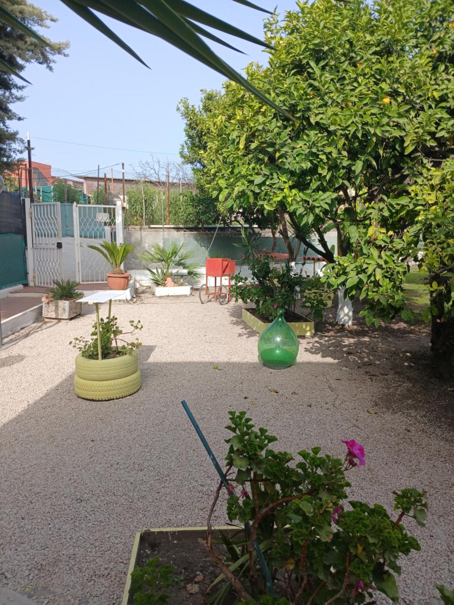 Garden Green Da Virna Torre Annunziata Ngoại thất bức ảnh